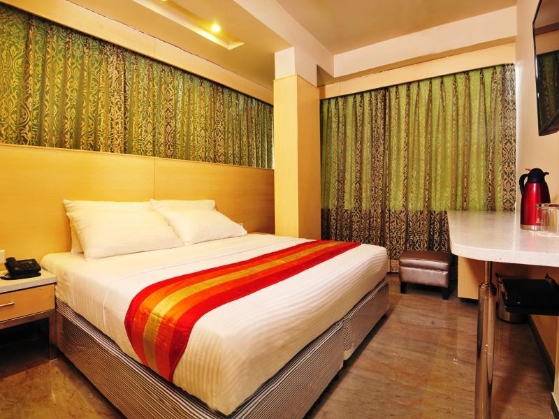 Hotel Krishna Palace 뉴델리 객실 사진